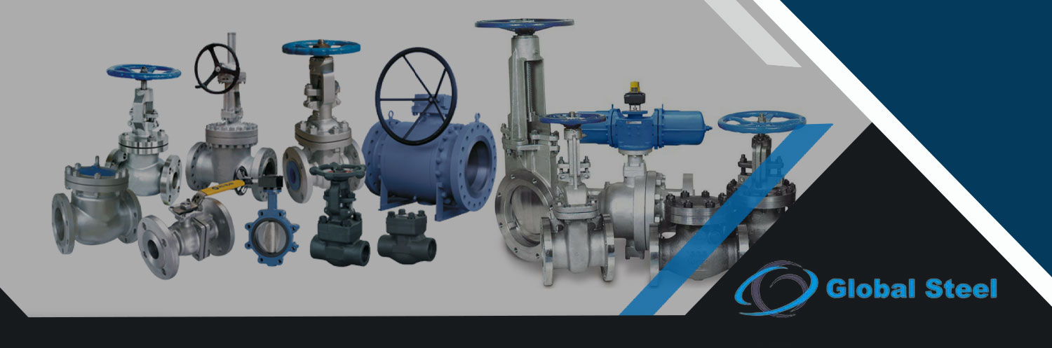 Duplex Steel S31803 Valves